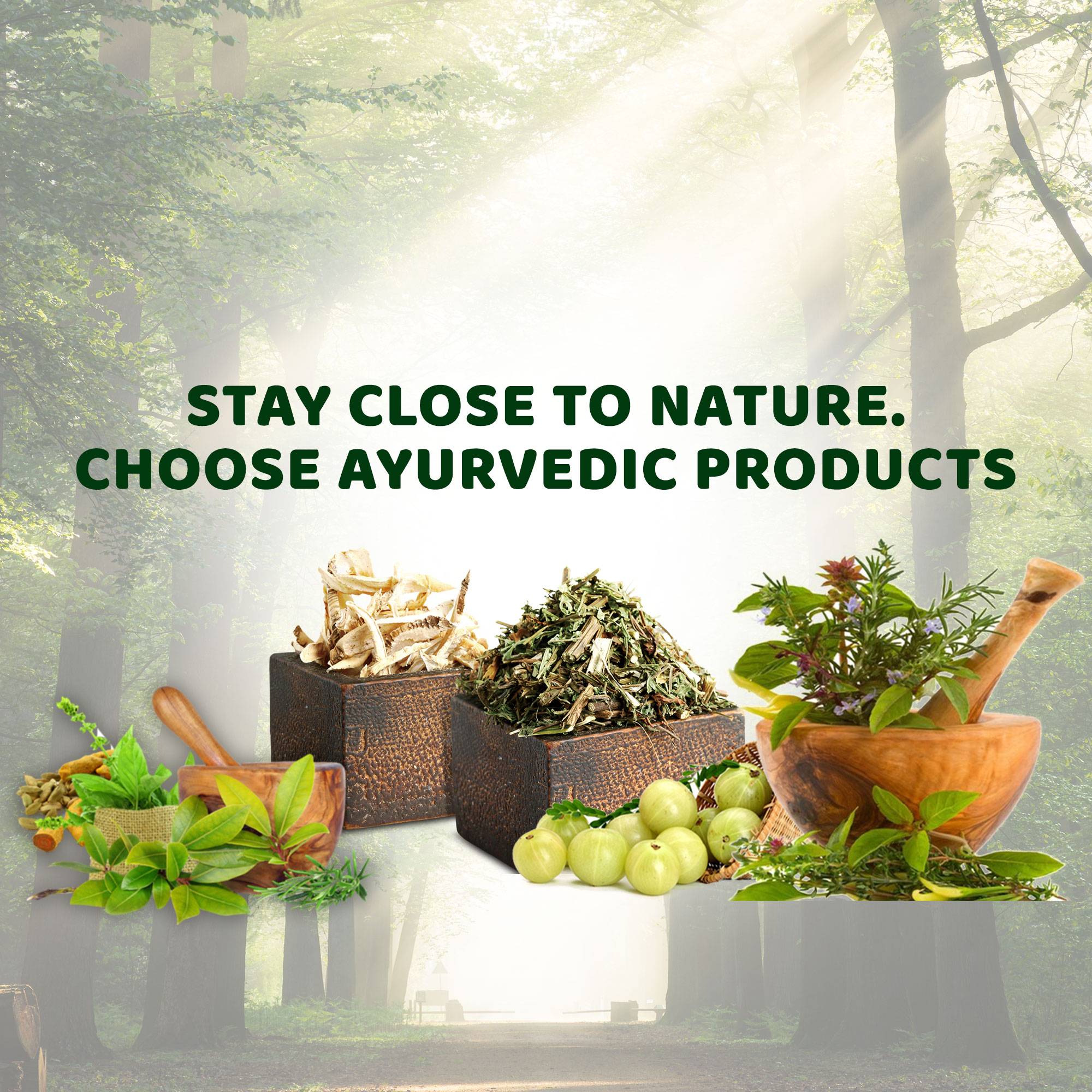 Ayurvedic 5