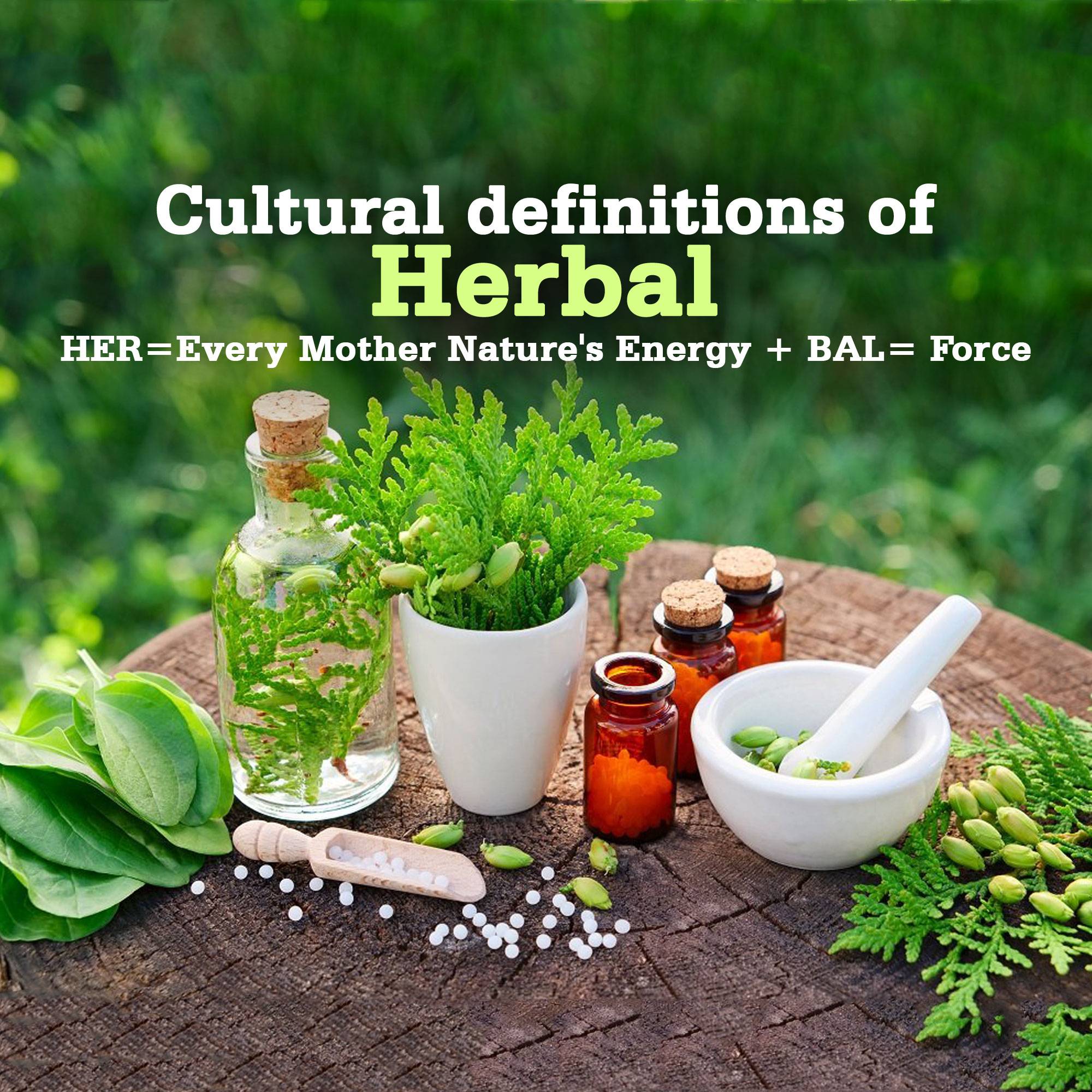 Ayurvedic 6