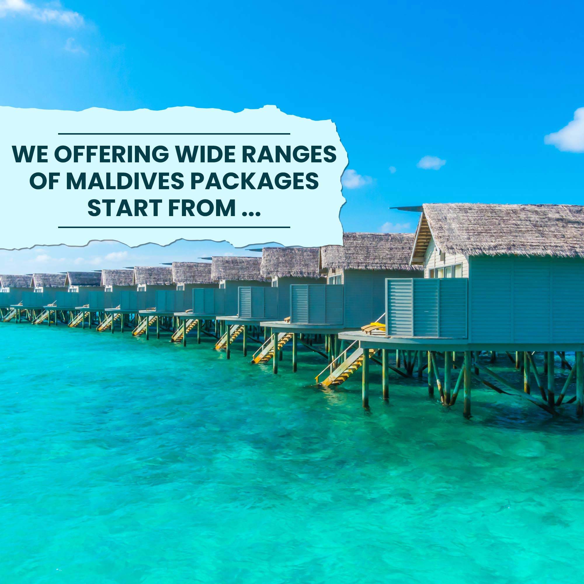 Tours & Travels