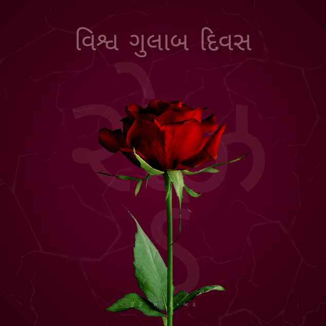 World rose day 3