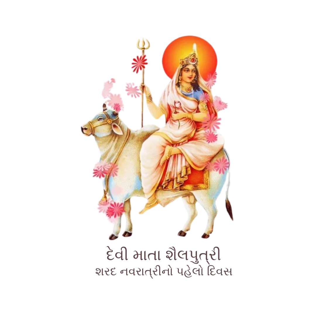 Navratri 66