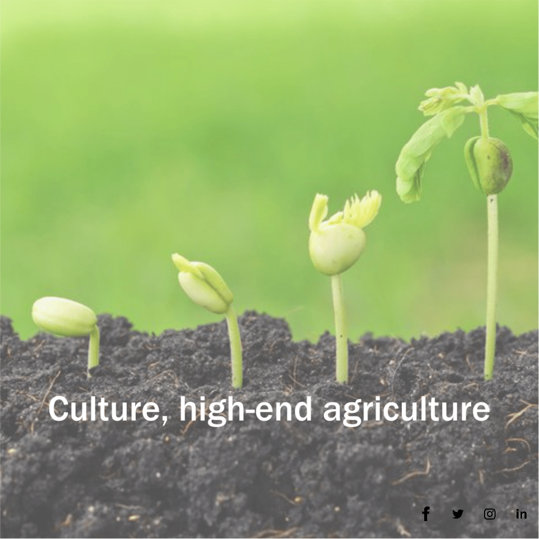 Agriculture 1
